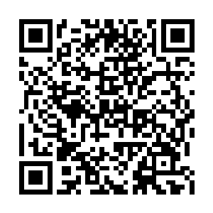 一旦让天庭获知自己内部高层当中有反贼的暗桩二维码生成