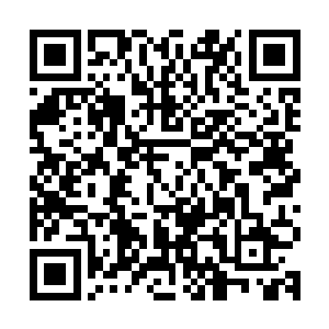 一旦这个疯子给唐菲菲和萧慕雪绑上一些跟他的心跳绑定的炸弹二维码生成