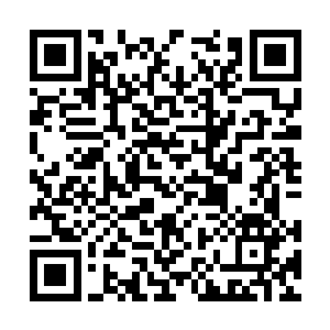 一旦遇到的是一只实力达到六阶魔兽的金丝银线蛇二维码生成
