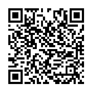 一时之间让五个结丹期大修士在心中有些接受不了二维码生成