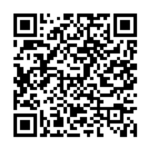 一时间两修一妖便在河坝城前百米处大大出手不已二维码生成