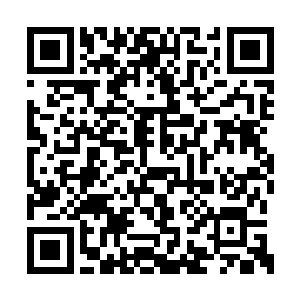 一时间所有人的脸上的表情也是变得十分的精彩二维码生成