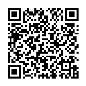 一时间狼王也不知究竟是运气好还是战技真的惊世骇俗二维码生成