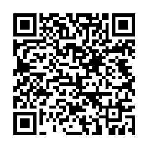 一时间远古天蛇的心中也是充满了一种无力的感觉二维码生成