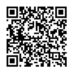 一是想办法用湖广的实物粮米来顶替苏州实物粮米二维码生成