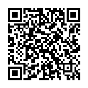 一晚上的时间对于杨戬这种境界的修炼者来说不过是一眨眼而已二维码生成
