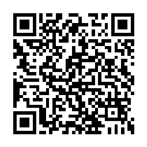 一有空闲就会把鬼魂珠从储物戒指中拿出来摆弄二维码生成