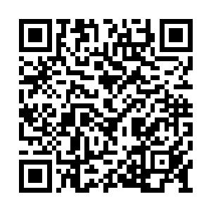 一本由白色的兽皮制成的书籍从空中跌落了下来二维码生成