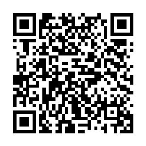 一朵朵不过指尖大的土黄色花朵点缀其上并不起眼二维码生成