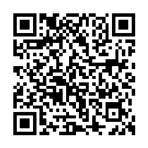 一朵紫色的莲花直接出现在了齐天麟的头顶上空二维码生成