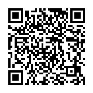 一朵赤红色的九品火莲也已经从楚旬掌心之中激射而出二维码生成