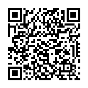 一条从丰江江边直抵红星农场边上的三级路面正在被拓宽二维码生成