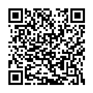 一条剑吻毒蛇不知道怎么回事儿就窜到了船员室二维码生成