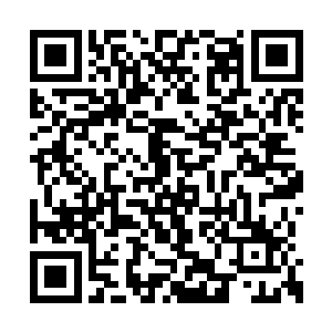 一条巨大的触手狠狠的朝着杨戬的身上抽了过来二维码生成