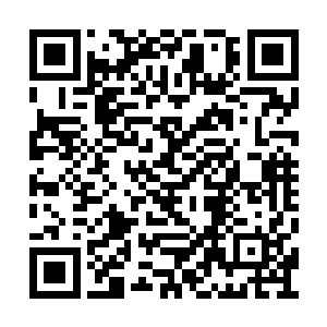 一条条命令更是接连不断的从他们两人口中发出二维码生成