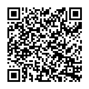 一条条拖上船好让自己卖给新井公司或者按着日本鬼子的说法新井商社去二维码生成