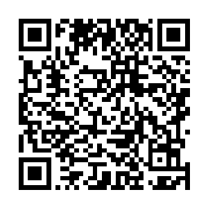 一条条漆黑的如同狼一般大小的浑身披着黑亮皮毛的怪兽二维码生成