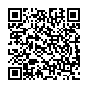 一条足有十几丈长的怪物一下子呈现在杨开的眼帘之中二维码生成