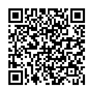 一条长长的宽约八十厘米的白布展开在宋征明面前二维码生成