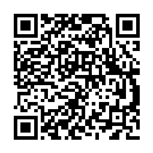 一条黑色头顶分不清是角还是刺的怪鱼忽然从水下跳出来二维码生成