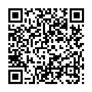 一来二楼大厅便瞧见了被众人围在中间的刘萱一行二维码生成