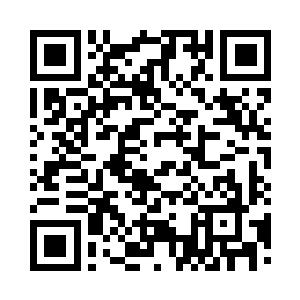 一来就没理会这修为半点都没有的老者二维码生成