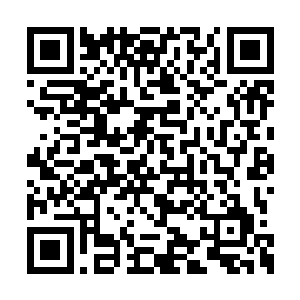 一枚拥有自主意识的位面之心突然降临禁忌之岛二维码生成