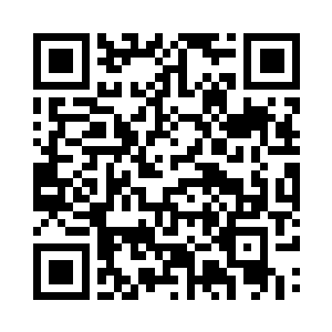 一枚硕大无朋如同气球般的银白色圆球二维码生成