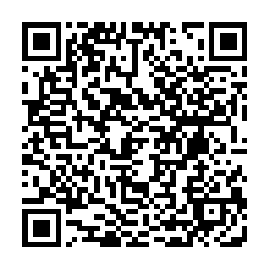 一架展翼超过十二米的蓝灰色的滑翔机安静的呆在投放舱中的下滑导轨上二维码生成
