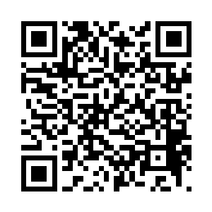一柄墨绿色伞下出现一副冷峻的面容二维码生成