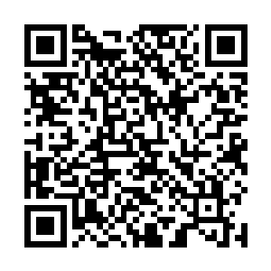 一查云知秋的背景想不知道两人之间有过一段绯闻都难二维码生成
