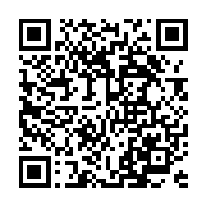 一株……两株……十八……十九……总共二十一株流明草二维码生成