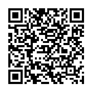 一株被损毁的龙王兰到底有什么办法能够恢复如初二维码生成