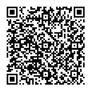 一样让顾子铭和蔡亚琴意识到这个到现在都还有些让他们无法接受的年轻人俨然站在了更高的高度上了二维码生成