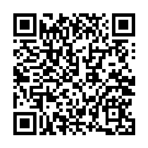 一根粗大的棒子却是再度对着他的头重重的挥了下来……二维码生成