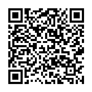 一根血淋淋的舌头就被那软鞭活生生地给拽了出来二维码生成