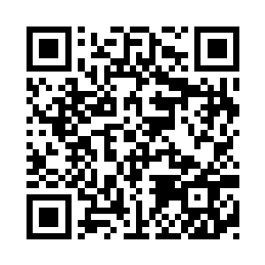 一档轮回树的守护者是我的一个老相识二维码生成