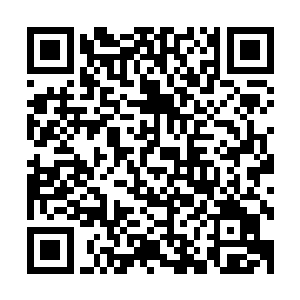 一次圣光照耀也至少能让我雷家未来多一尊大儒与三位大学士二维码生成