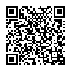 一次次抗着数量不少的野物去镇上换到不多的银两二维码生成