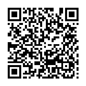 一次次用一颗颗神奇的果实让他一天天的成长起来二维码生成