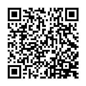 一汪如同牛奶的乳白色液体便出现在丹炉内神室之内二维码生成