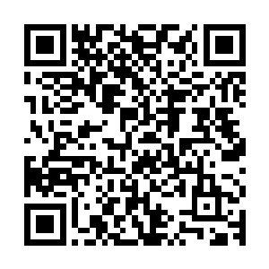 一波波只有神性者以上才能见到的信仰力量不断在石像上面汇聚二维码生成