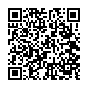 一浊道士很耐心的向他讲解着道家非常浅显而又非常二维码生成