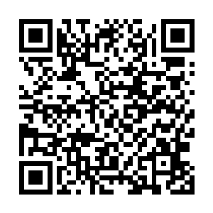 一点点累积起来的药性令九转炼丹炉发生潜移默化的变化二维码生成