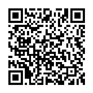 一点都没有意识到自己差点被摔成一团的小青龙二维码生成