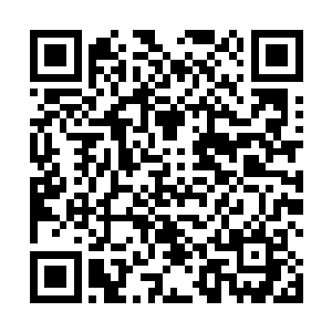 一片占地数千亩的松林就在这里半山坡的一片平地之上二维码生成