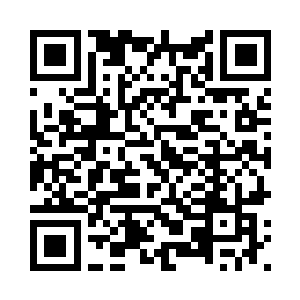 一片片鱼肉也随之化作一团团灵气二维码生成