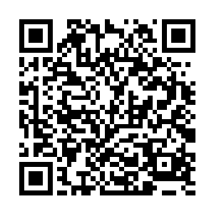 一片高大的火红色的巨菇林就出现在了张铁眼前……二维码生成