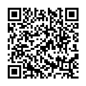 一瓶未知药水和一本记载了猩红修道院历史的古书二维码生成