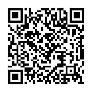 一百一十三人在江逸的率领之下朝城西狂奔而去二维码生成